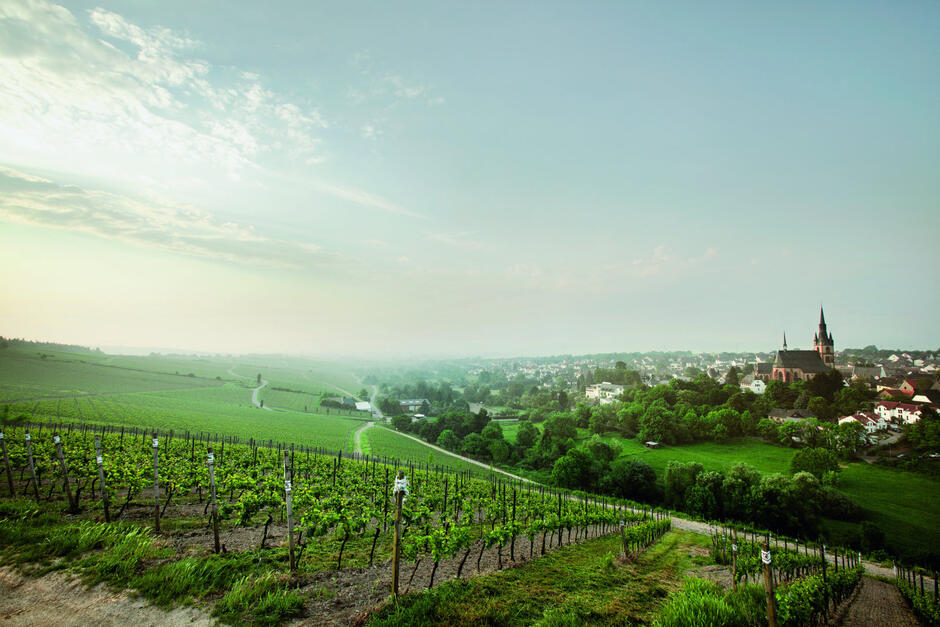 Weingut Robert Weil 