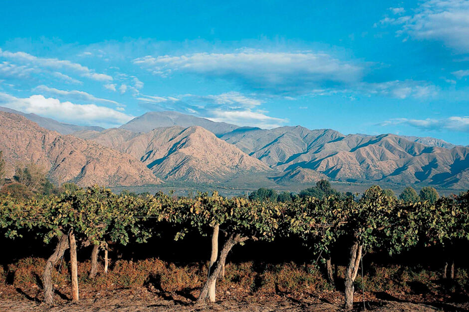 Bodegas La Rosa