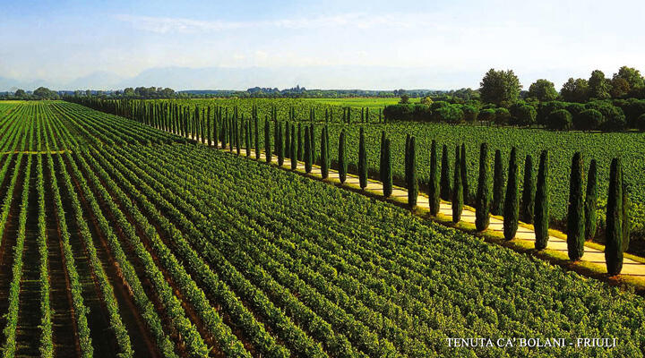 Tenuta Ca’Bolani