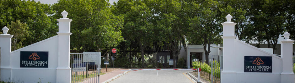 Stellenbosch Vineyards