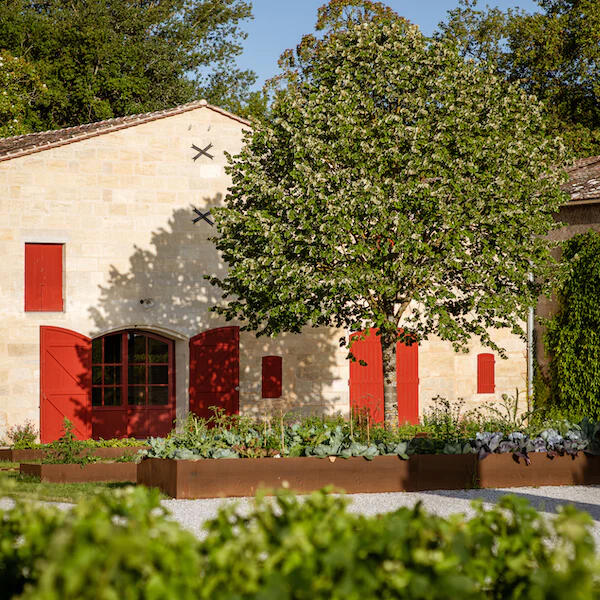 Chateau Haut-Bages Liberal