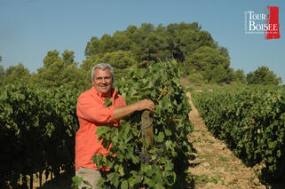 Domaine Tour Boisée