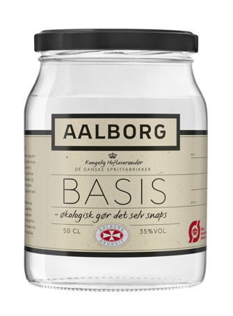 Aalborg Basis