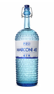 Poli Marconi Mediterranean Gin 42