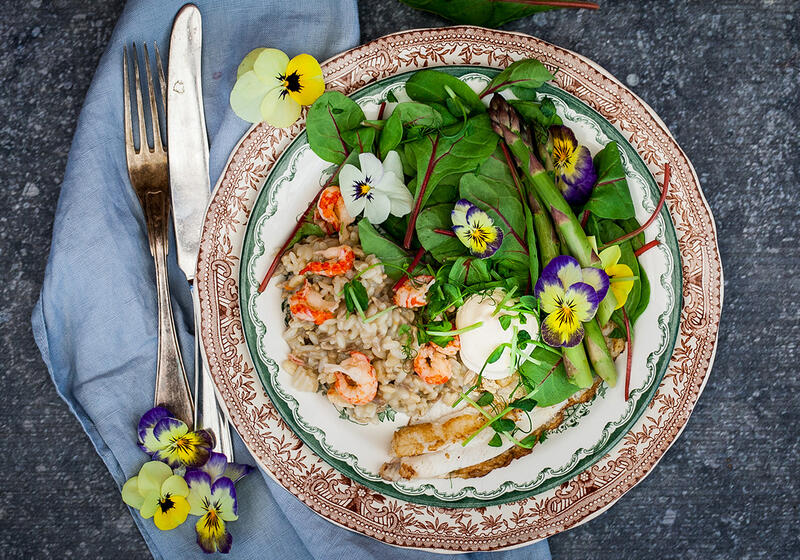 Krämig risotto med kräftstjärtar stekt färsk fisk och aioli