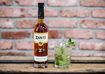 Xanté Mojito